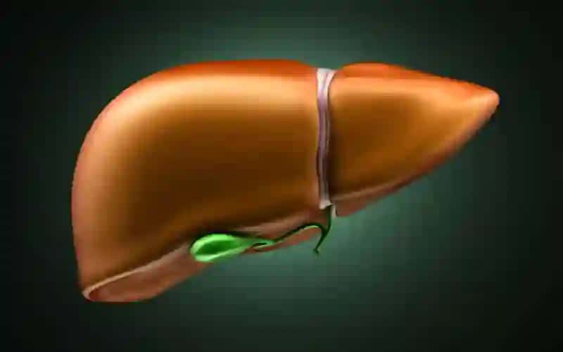 Ovqat hazm qilishning boshqarilishi 3