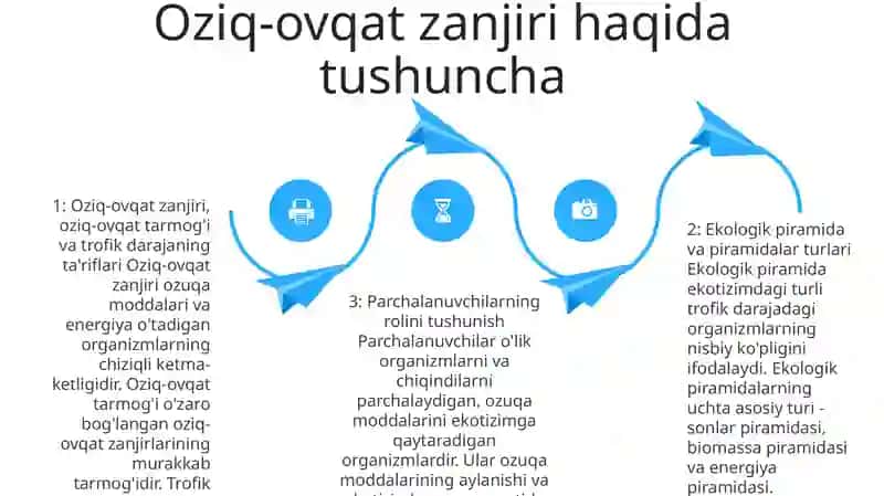 Oziq Zanjiri Va Ekologik Piramida Qoidasiga Oid Masala Va Mashqlar Tuzish Hamda Yechish Metodikasi 3
