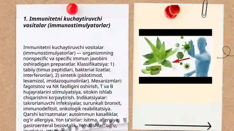 Immunitetni kuchaytiruvchi vositalar (immunostimulyatorlar) 3