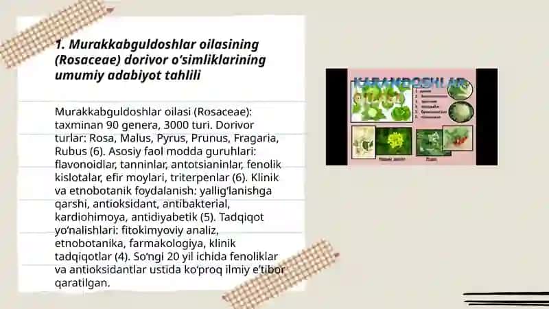 Murakkabguldoshlar va ziradoshlar oilalariga mansub dorivor oʻsimliklar 3