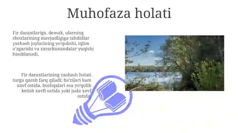 Yelka kamari suyaklari 3
