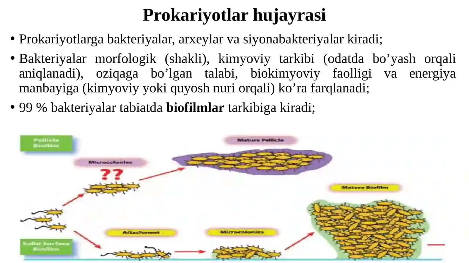 Prokariyotlar hujayra tuzilishi va kimyoviy tarkibi 3