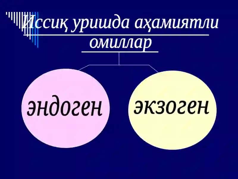 Термик омилнинг таъсири 3