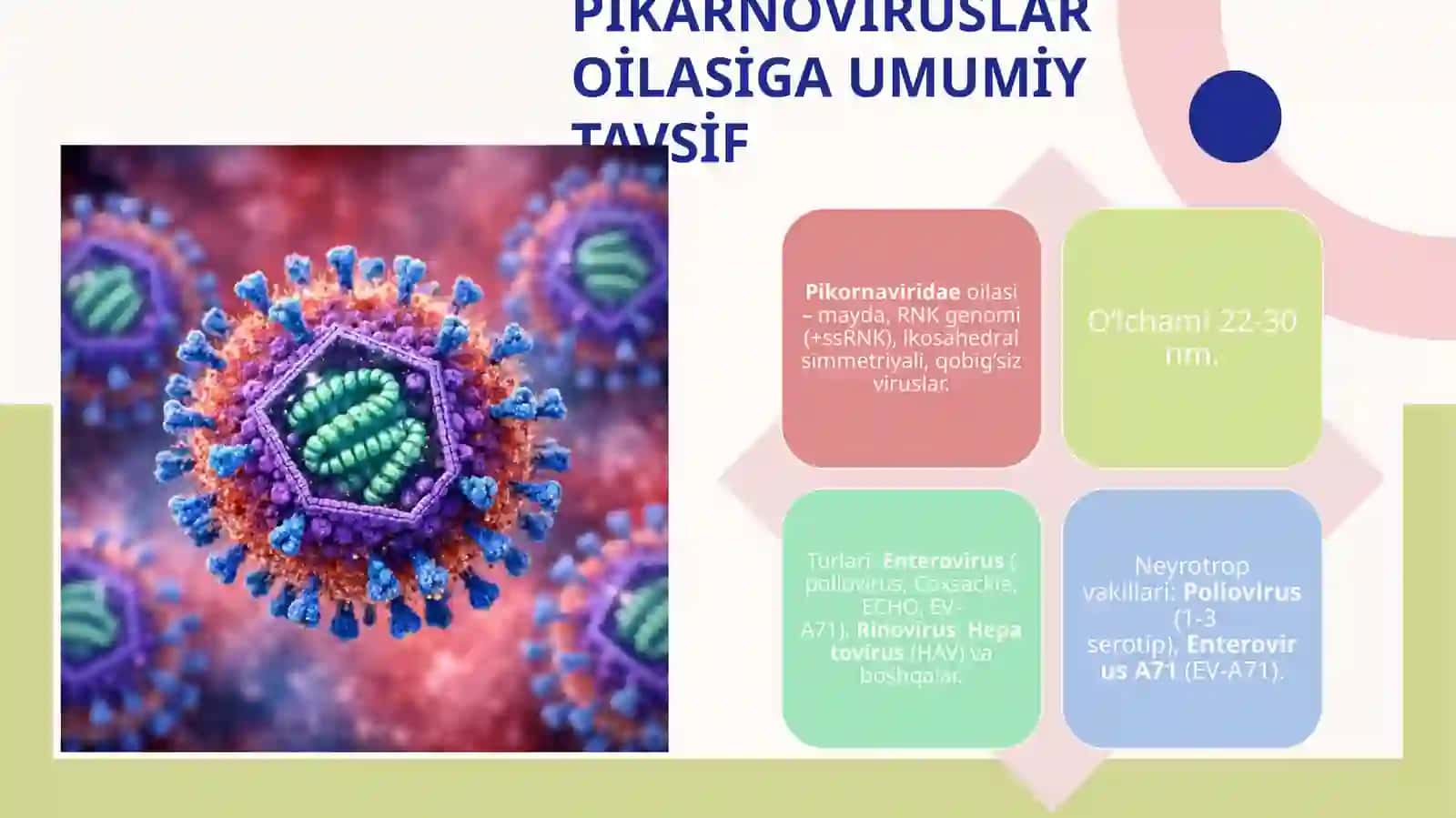 Neyrotrop viruslar: pikarnoviruslar, rabdoviruslar xarakteristikasiva laboratoriya tashxisi 3