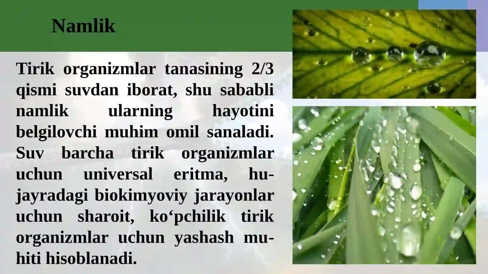MUHIT VA EKOLOGIK OMILLAR. EKOLOGIYA VA INSON SOG’LIGI 3