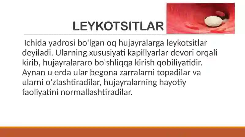 LEYKOTSITLAR 3