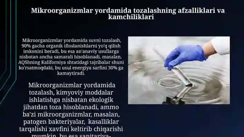 Mikroorganizmlar yordamida tozalash 3