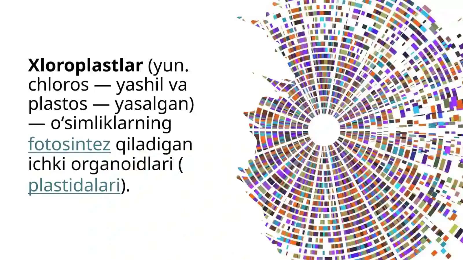 Xloroplastlar haqida 3