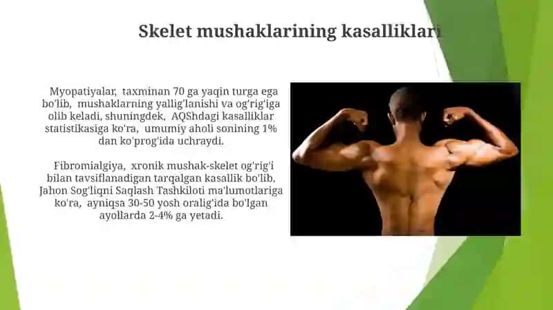 Silliq mushaklarning fiziologiyasi 3