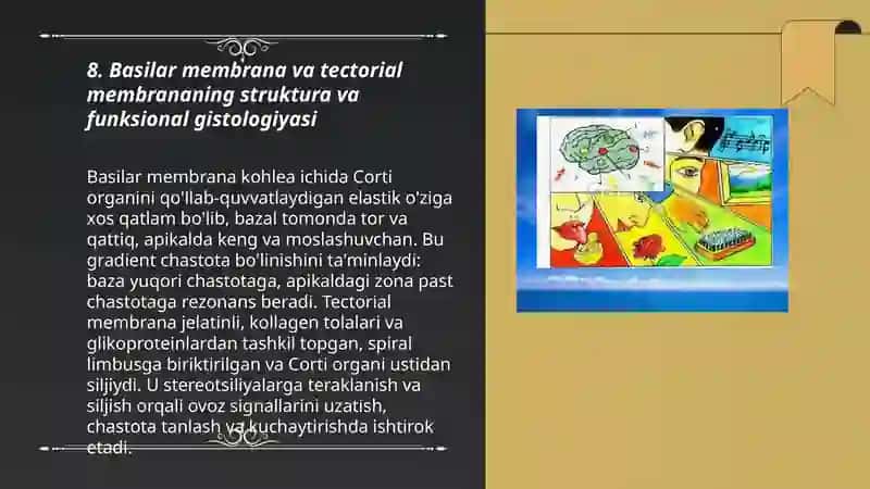 Sezgi organlarining gistalogiyasi. Eshitish va muvozanat organlari, ta'm 3