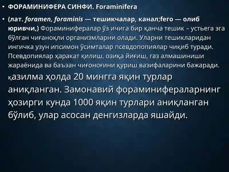 Саркодалилар Типи 3