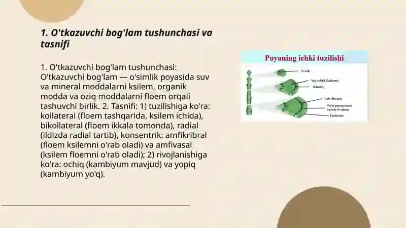 O'tkazuvchi bog'lamlarning tiplarini turli o'simlik poyalarida aniqlash va sxemasini chizish 3