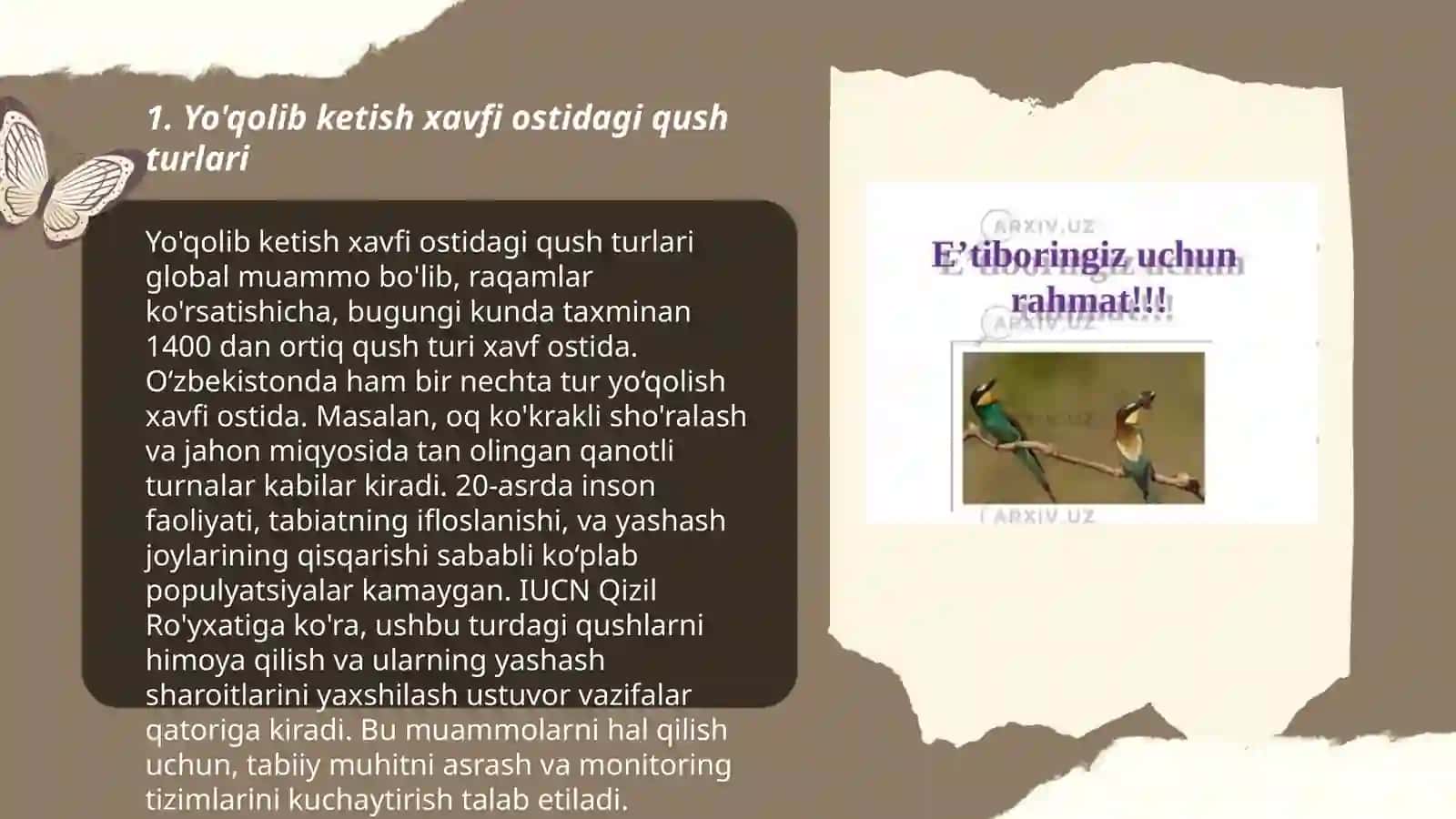 Yo'qolib ketish xavfi ostidagi qush turlari 3