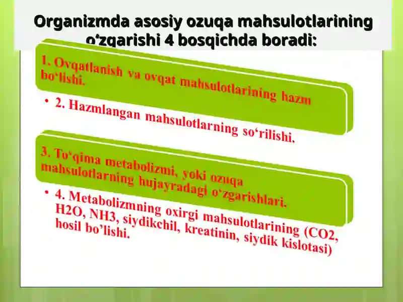 Moddalar almashinuviga kirish. Metabolizm to‘g‘risida tushuncha. Ovqatlanish biokimyosi. 3