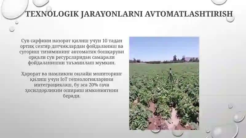 Lalmi yerlarda tarvuz yetishtirish boʻyicha texnologik xarita tuzish 3
