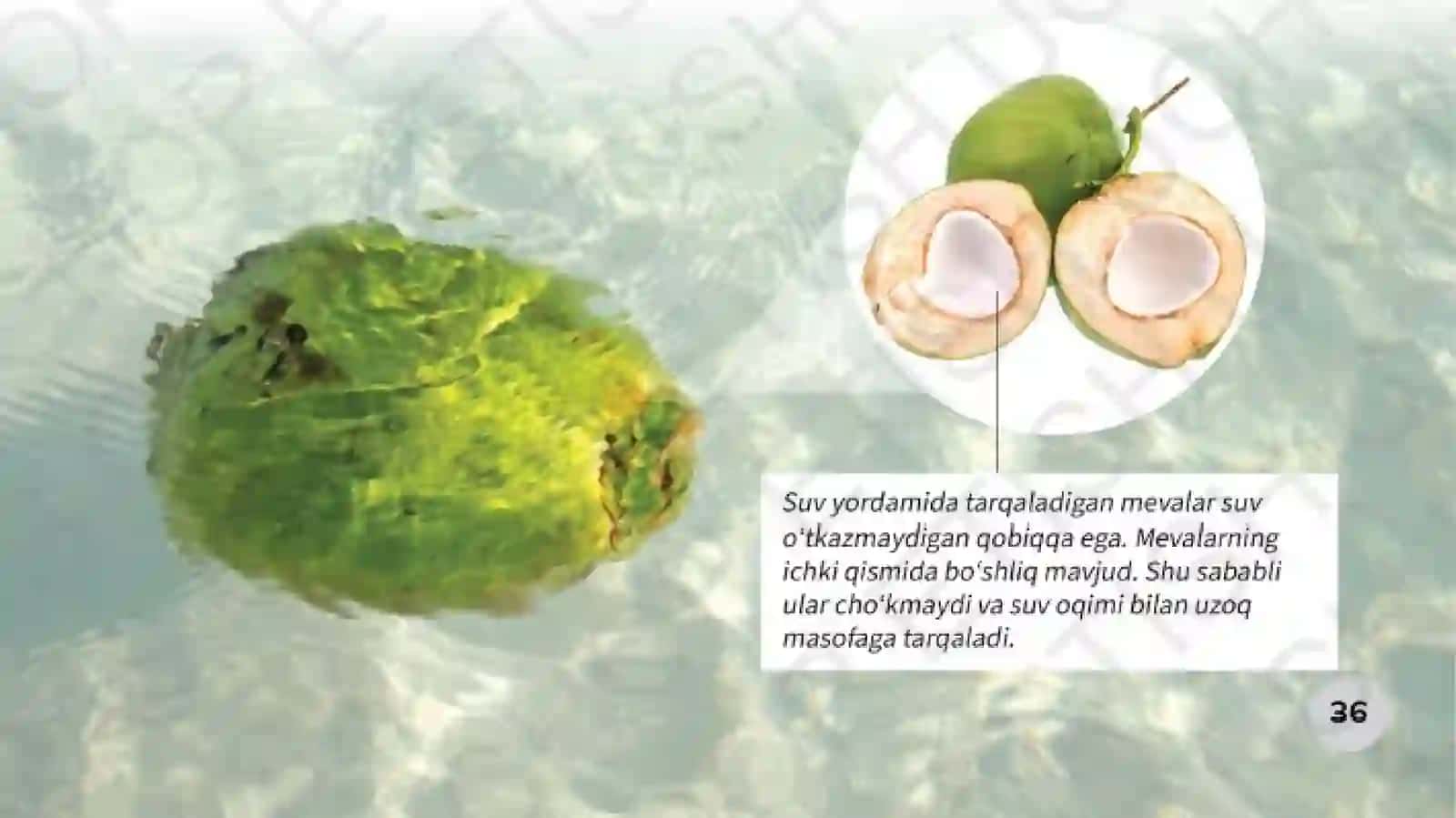Topshiriqlar 3