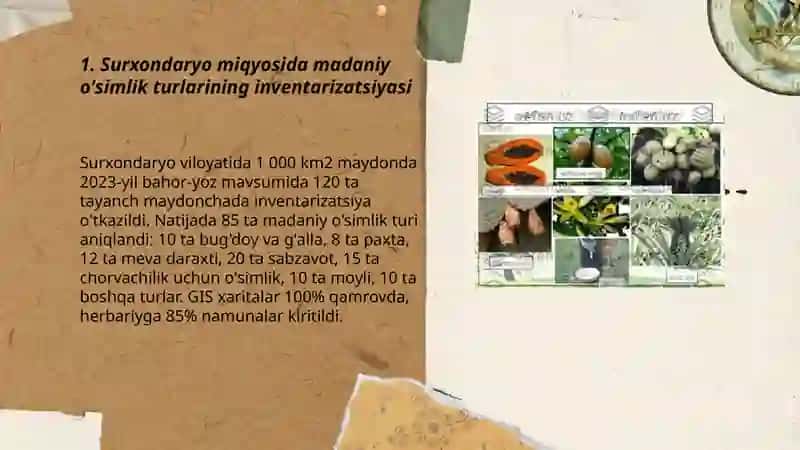 Surxondaryo miqyosida madaniy o'simliklar 3