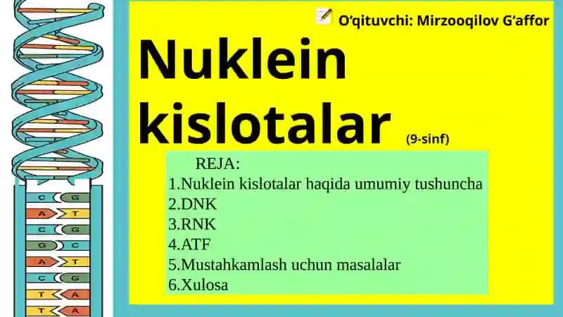 Nuklein kislotalar DNK va RNK (ATF) 3