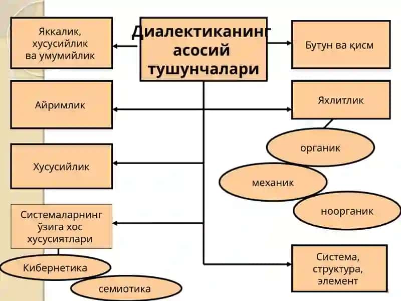 Диалектиканинг асосий тушунчалари 3