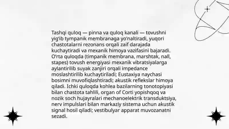 Eshituv va vestibulyar analizatorlar fiziologiyasi 3