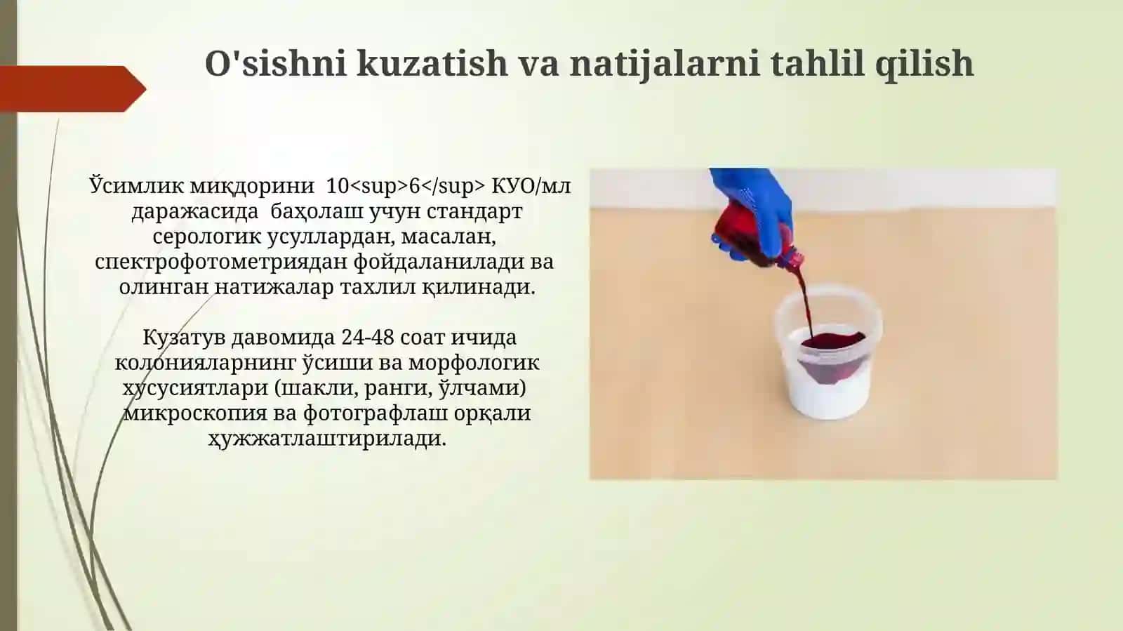 Bakteriologik oziq muhitlar tayyorlash hayvonlarda 3