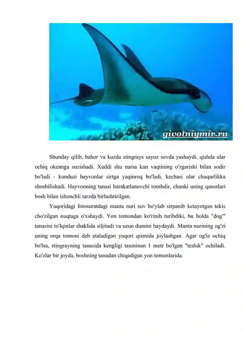 Skatlar tuzilishi hayot kechirishi va ahamiyati 3