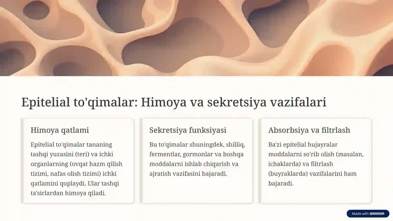 Epitelial to'qimalar: Himoya va sekretsiya vazifalari 3