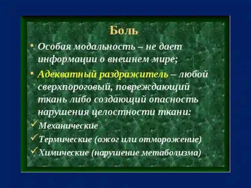 Физиология висцеральной анализаторной системы 3