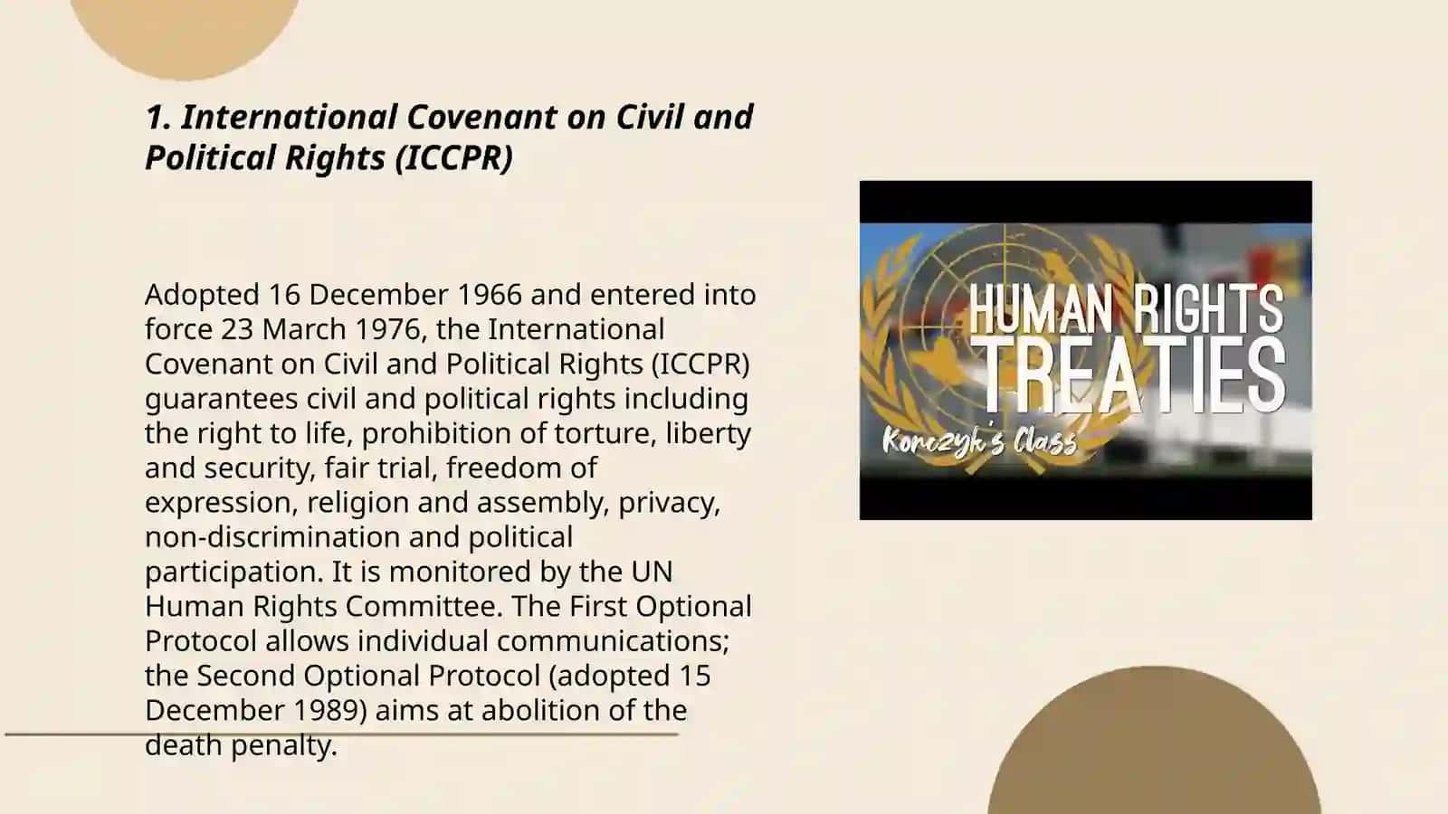 International human rights treaties and conventions 3