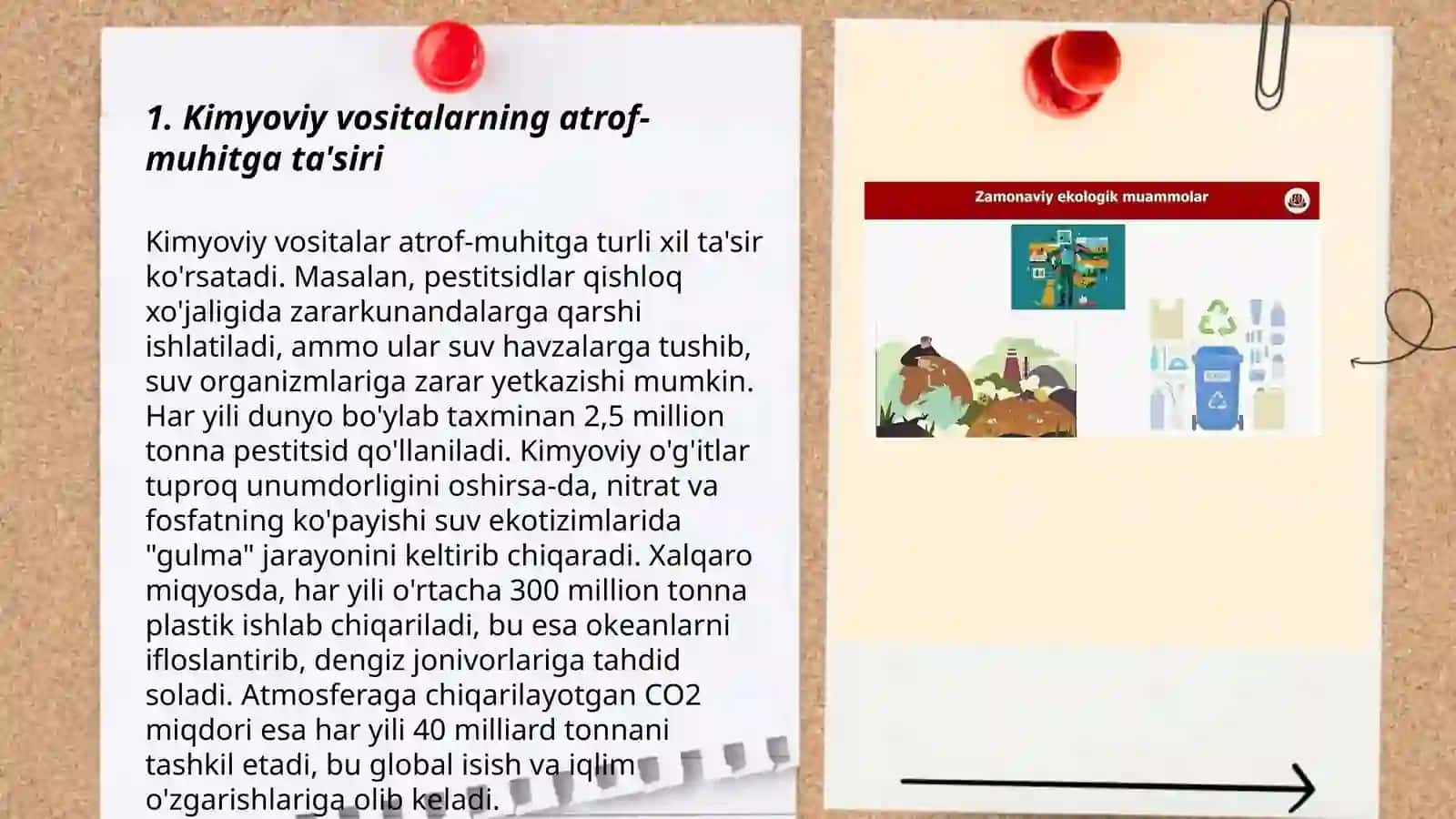 Kimyoviy vositalar qo’llashning ekologik muammolari 3