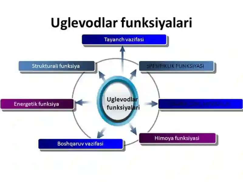 Uglevodlar almashinuvi va funksiyalari 3