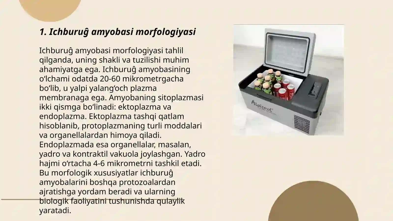 Ichburuĝ amyobasi,tripanasoma, leyshmaniyalar tuzilishi hamda sikllari 3
