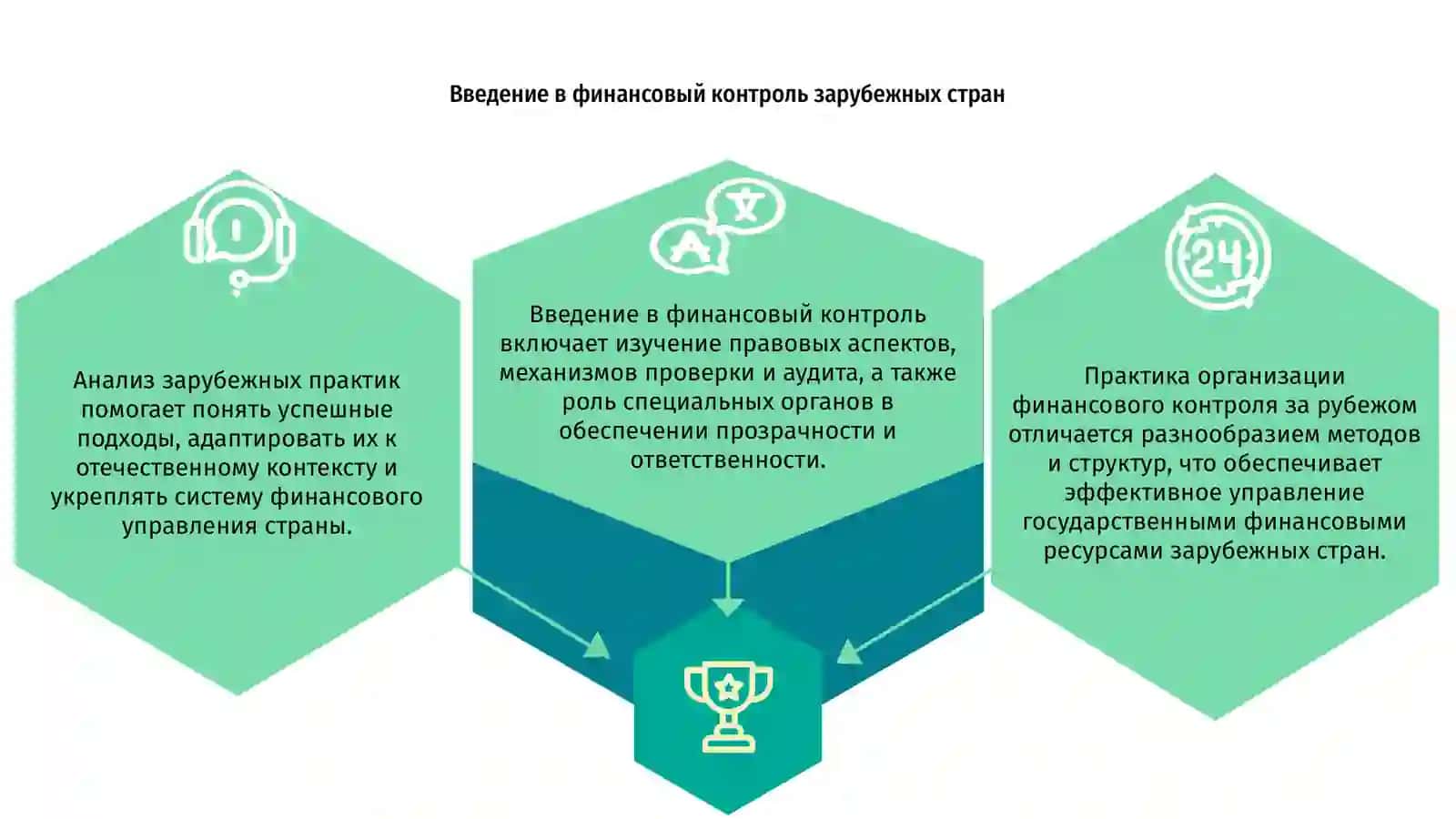 Практика организации финансового контроля зарубежных стран 3