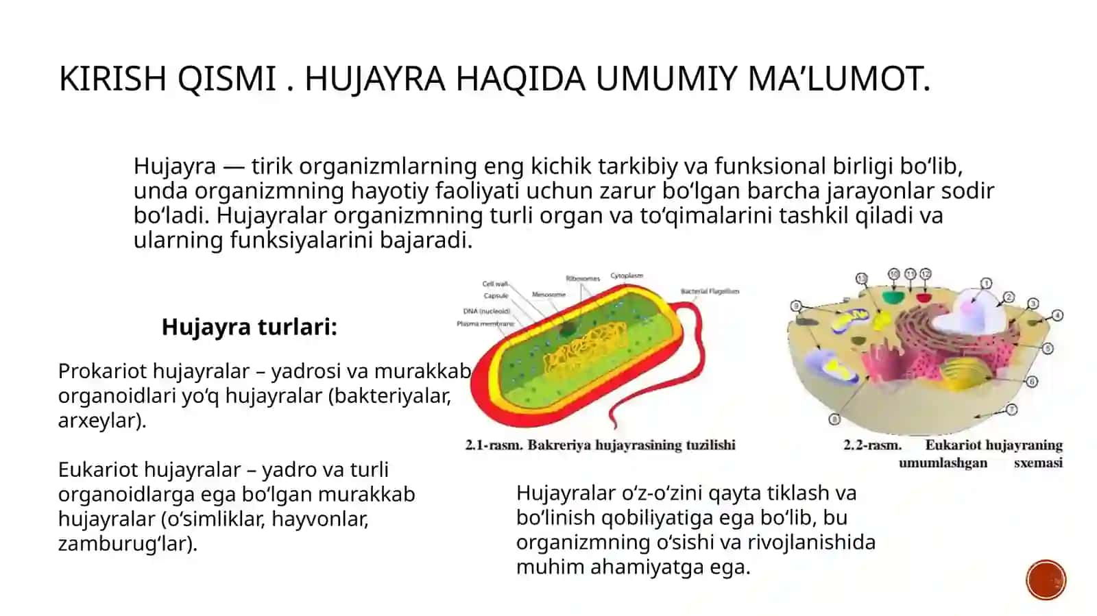 Hujayraning umumiy va maxsusorganoidlariva ularning vazifalari. Epiteliy haqida 3