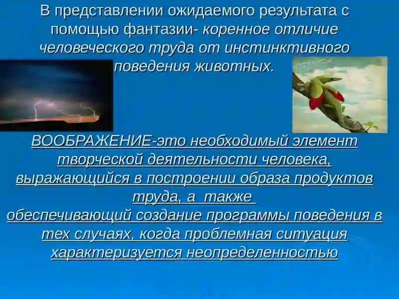 ВООБРАЖЕНИЯ И ФАНТАЗИЯ 3