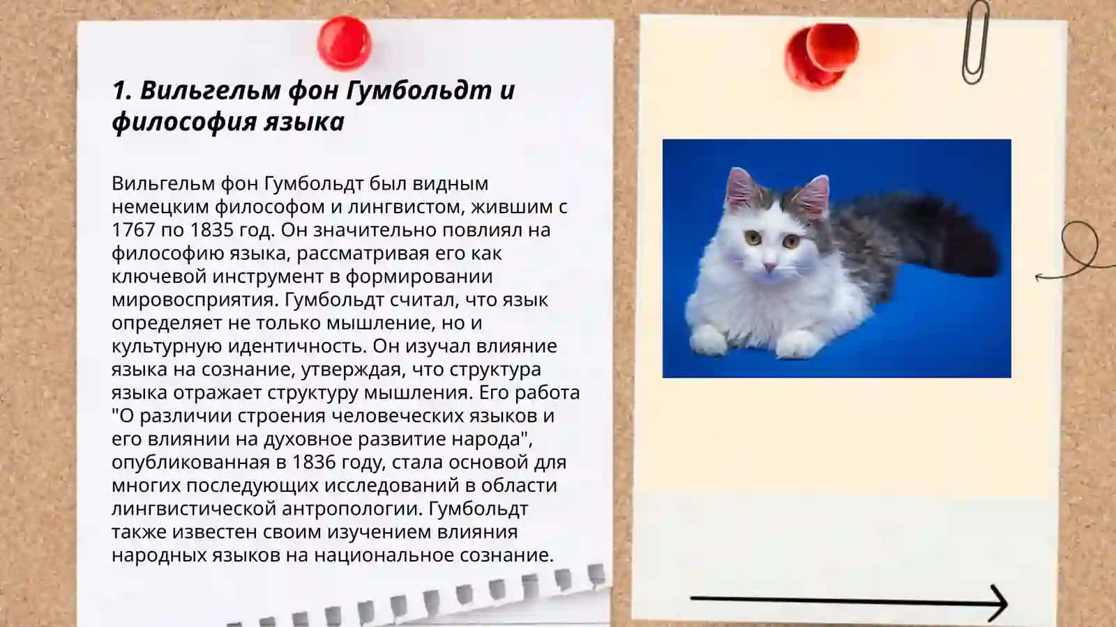 Вингельма фон гумбольдта 3
