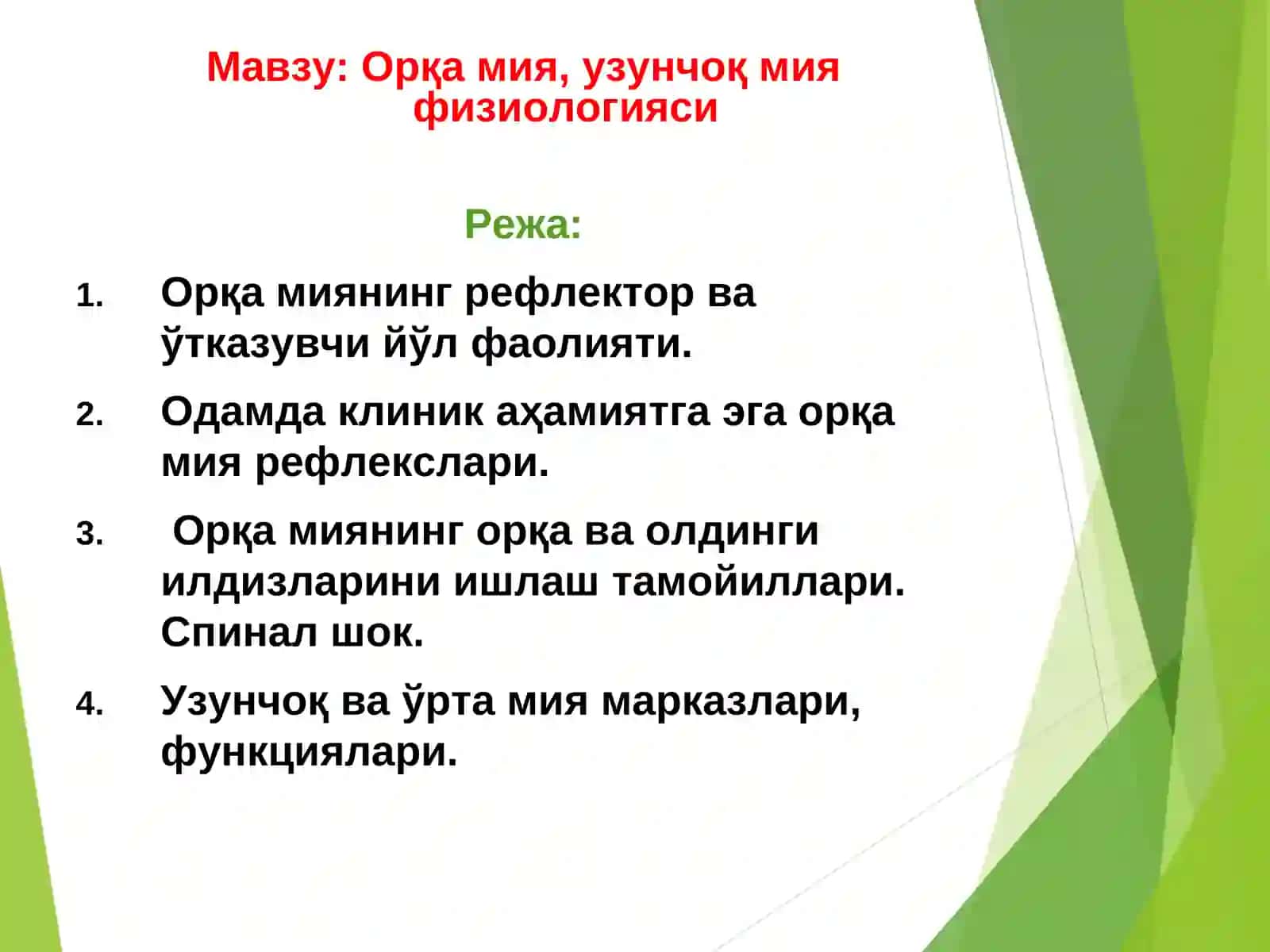Орқа мия, узунчоқ ва ўрта мия физиологияси 3