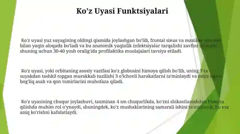 Ko'z uyasi anatomiyasi 3