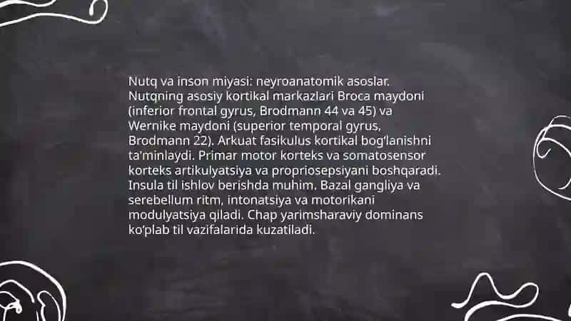Nutq va inson miyasi: neyroanatomik asoslar 3