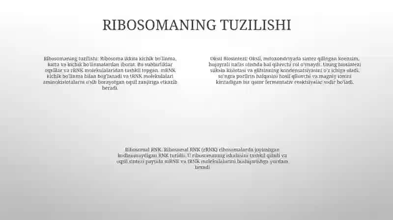 Oqsil Biosintezi 3