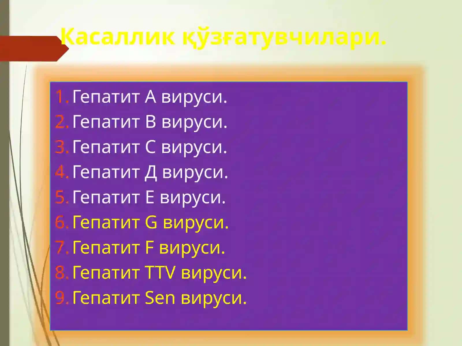 Gepatitlar(A,E) 3