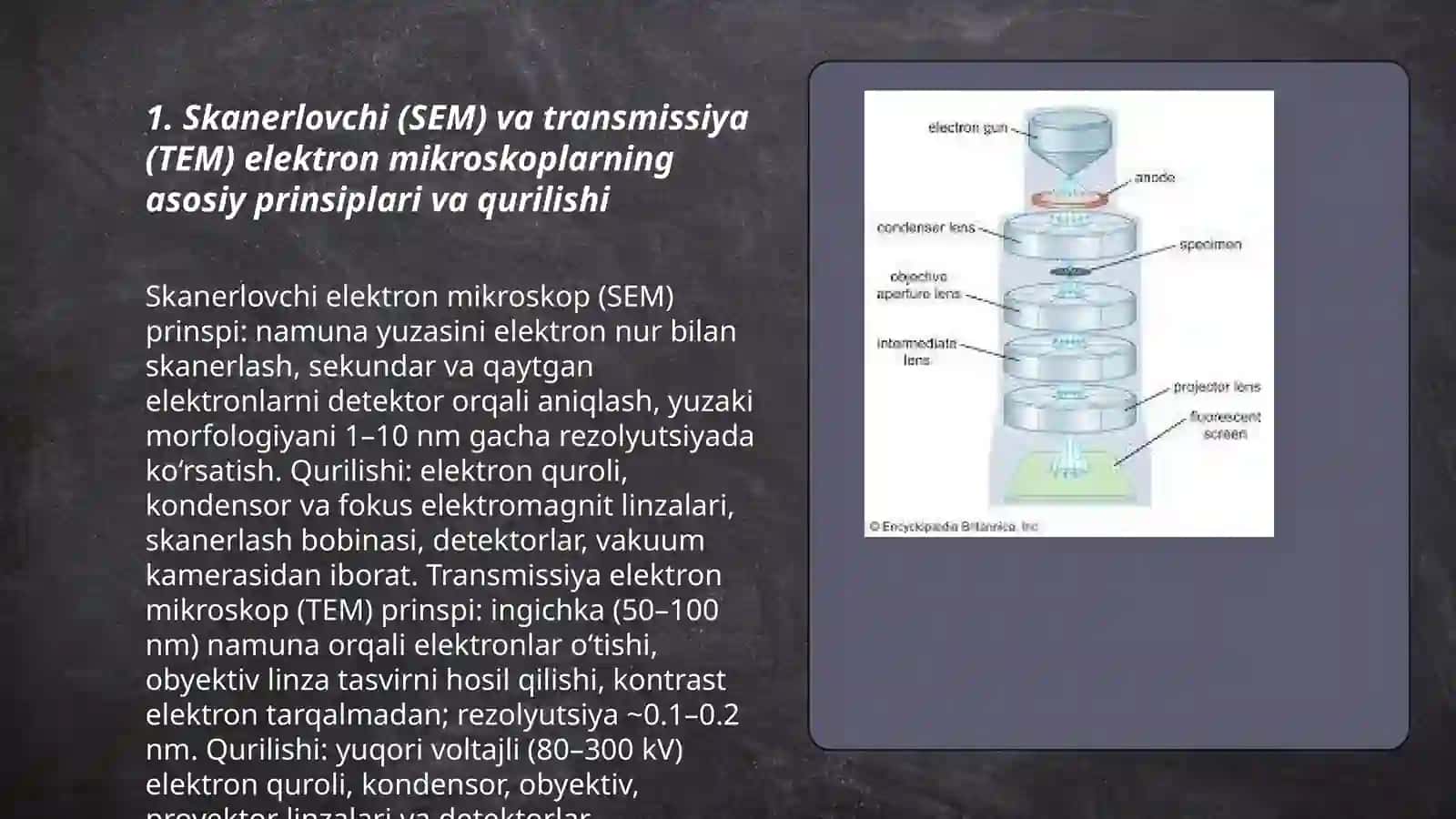 Elektron mikroskoplar (skanirlovchi vatransmission mikroskoplar) va mikroskopiyausullarining biologiya va tibbiyotdagi ahamiyati 3