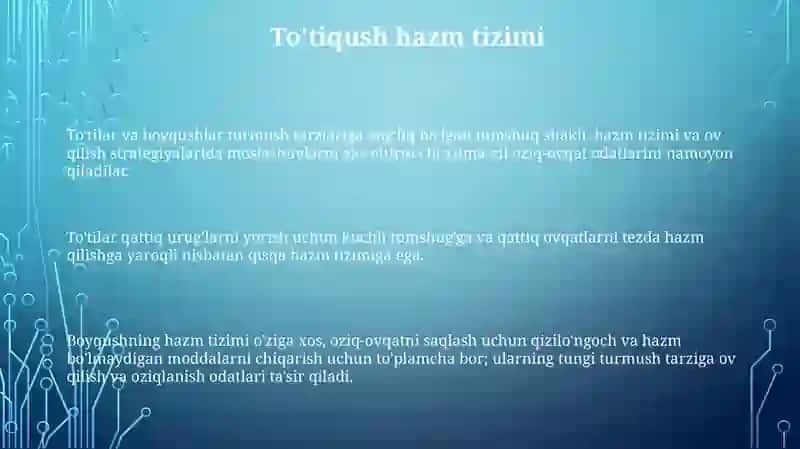 To'tiqushlar va yapaloqqushlarning tuzilishi va hayot tarzi 3