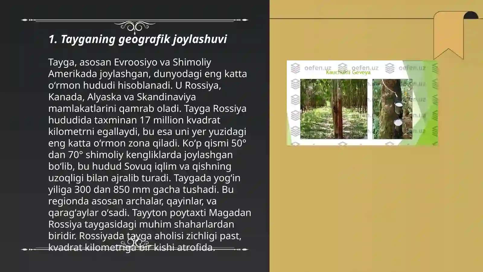 Tayga tabiat zonasi 3