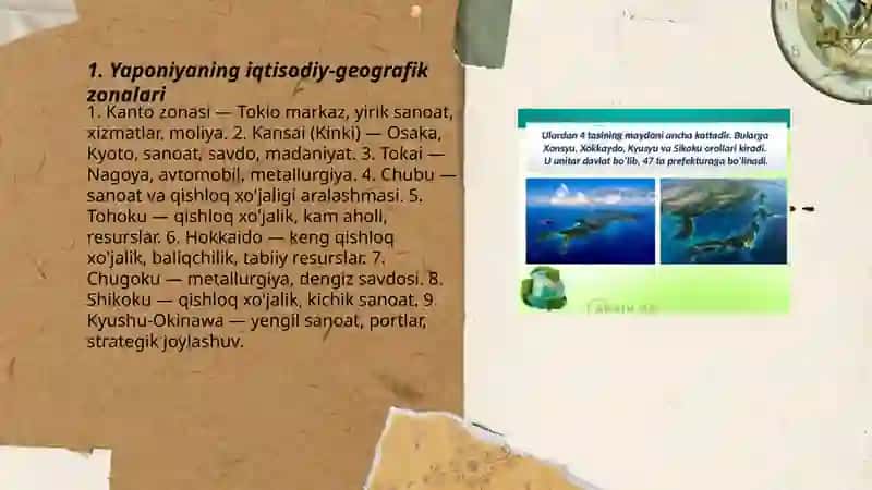 Yaponiyaning iqtisodiy-geografik tasnifi 3