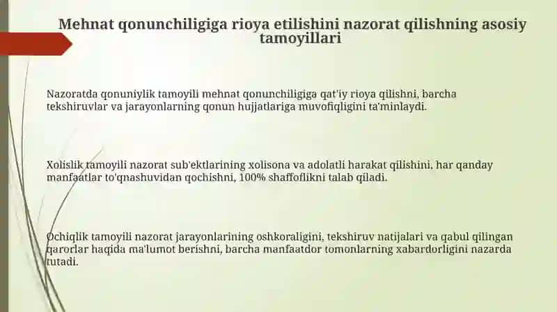 Mehnat Qonunlariga rioya etishni nazorat qilish 3