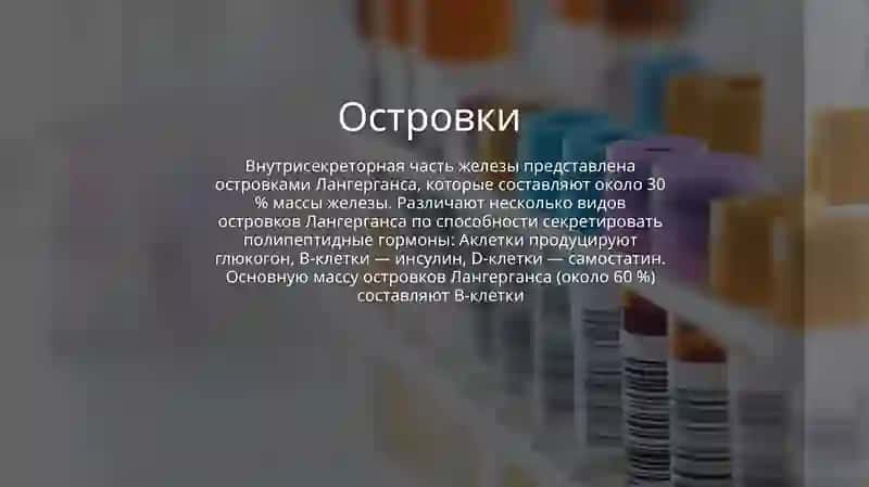 Физиология поджелудочной железы 3