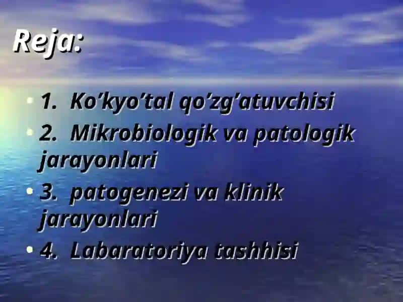 Ko’kyo’tal qo’zg’atuvchisitashhis 3