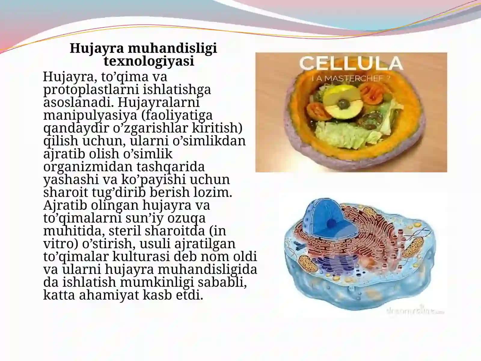 Hujayra muhandisligidagi texnologik jarayonlar 3