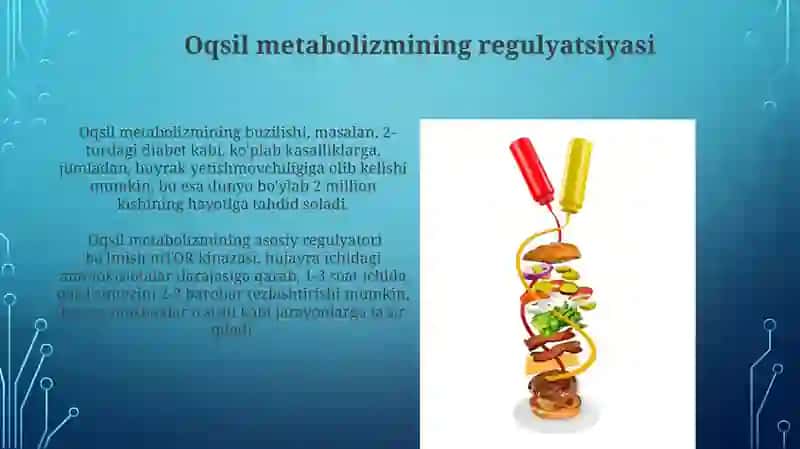 Oqsillar almashinuvi biologik ahamiyati 3